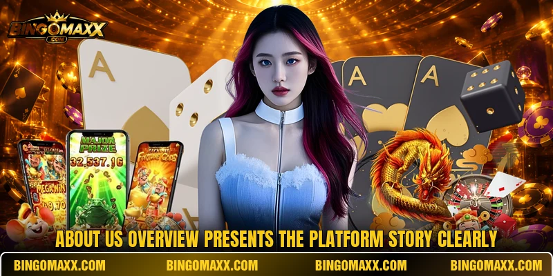 About us overview presents the platform story clearly