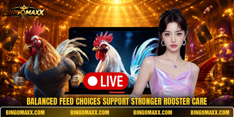 Balanced feed choices support stronger rooster care