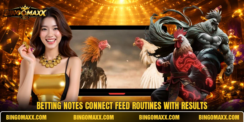 Betting notes connect feed routines with results