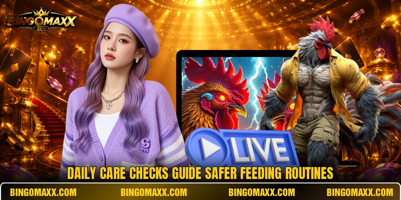 Daily care checks guide safer feeding routines