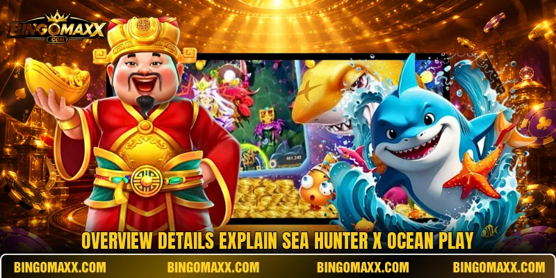 Overview details explain Sea Hunter X ocean play