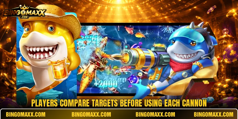 Players compare targets before using each cannon