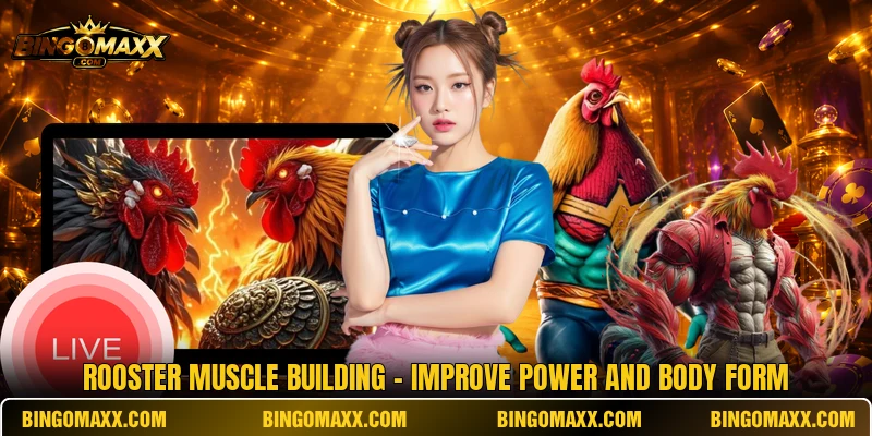 Rooster Muscle Building - Improve Power And Body Form